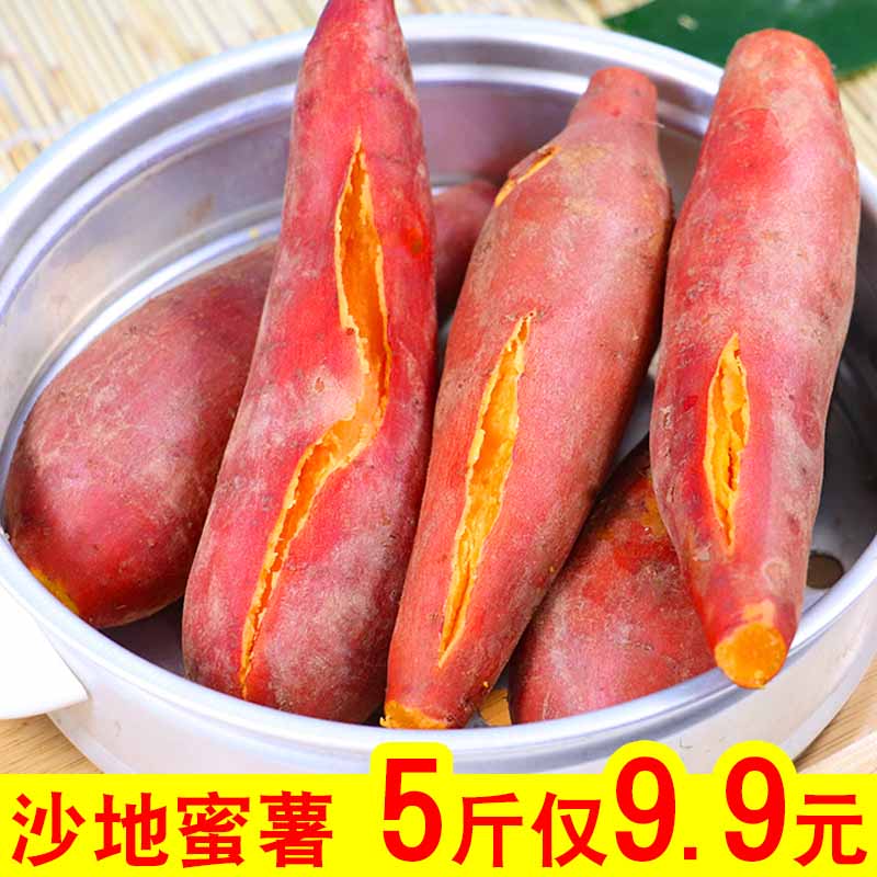 糖心红薯新鲜烤地瓜10斤沙地蜜薯烟薯25板栗黄红心红薯番薯小山芋