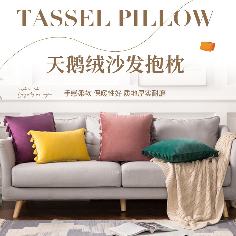 跨境流苏沙发抱枕ins风卧室客厅靠垫靠枕北欧风天鹅绒抱枕套枕套