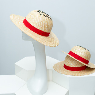 One Piece Luffy Straw Hat Cosplay Manga Exhibition Performa