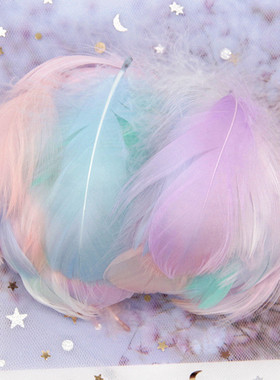 100pcs  Wedding Party Handicraft Accessories Decoration Feat