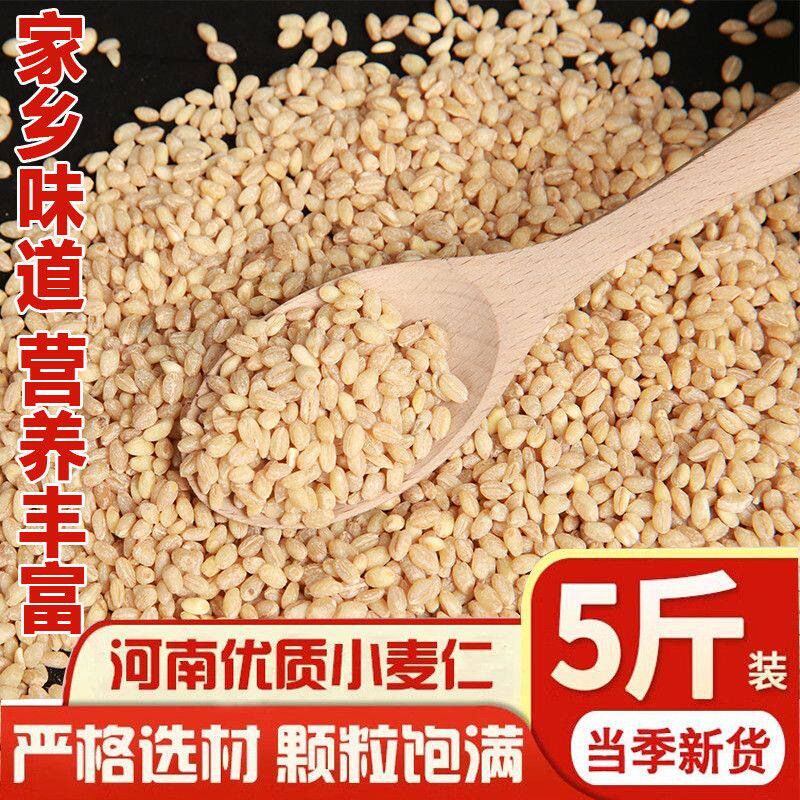 2026小麦仁去大麦仁小麦粒农家脱皮麦仁米杂粮粥脱壳河南新鲜小麦