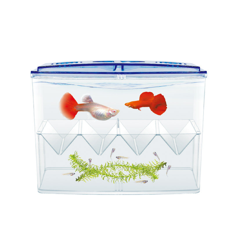 繁殖幼鱼苗孔雀鱼隔离盒孵化亚克力大小鱼小产卵产房盒鱼缸多功能|ruв категории животное/Животное питание и принадлежностей, аквариум мира, аквариум аквариум оборудования и т.д., инкубатор - от Buy2taobao.com для оказания профессиональной услуги покупки агента Taobao