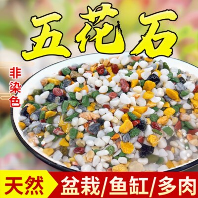 天然五彩小石头多肉花盆栽铺面石