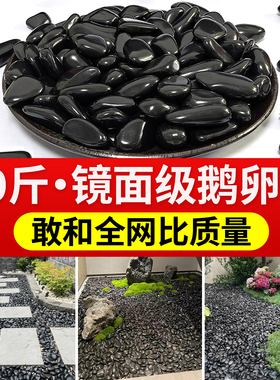 黑色精品鹅卵石大小黑石头花园造景庭院铺地铺路天然雨花石鹅软石
