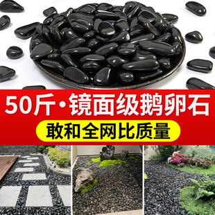 黑色精品鹅卵石大小黑石头花园造景庭院铺地铺路天然雨花石鹅软石