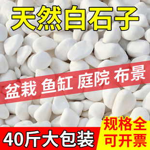 40斤天然白石子铺地造景石子天然景观鹅卵石铺路白石头小石头装饰