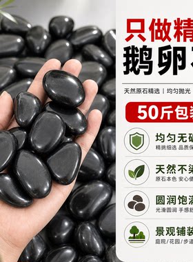 黑色精品鹅卵石大小黑石头花园造景庭院铺地铺路天然雨花石鹅软石