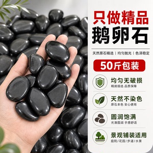黑色精品鹅卵石大小黑石头花园造景庭院铺地铺路天然雨花石鹅软石