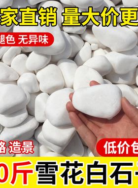 40斤白色鹅卵石园林花盆铺面石庭院白石头铺路造景铺地小白石子
