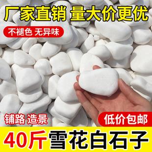 40斤白色鹅卵石园林花盆铺面石庭院白石头铺路造景铺地小白石子