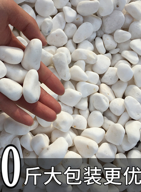 天然白石子庭院铺路鹅卵石白色石子颗粒小白石头阳台造景景观砾石