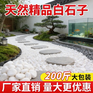 白色天然鹅卵石小石头雨花石白石子颗粒批发水培鱼缸阳台造景铺地