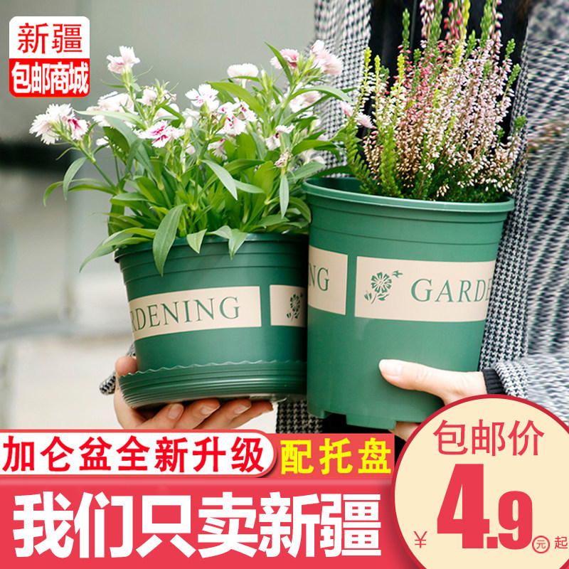 新疆包邮塑料矮胖花盆绿萝月季花多肉5件套加厚大小加仑盆带托盘