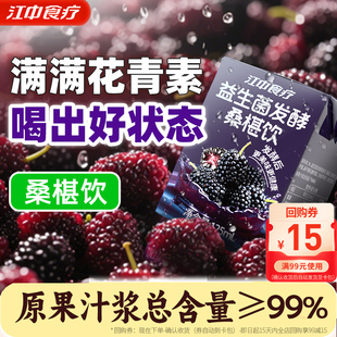 江中食疗桑葚饮益生菌发酵果蔬汁花青素儿童果蔬汁饮料尝鲜4盒