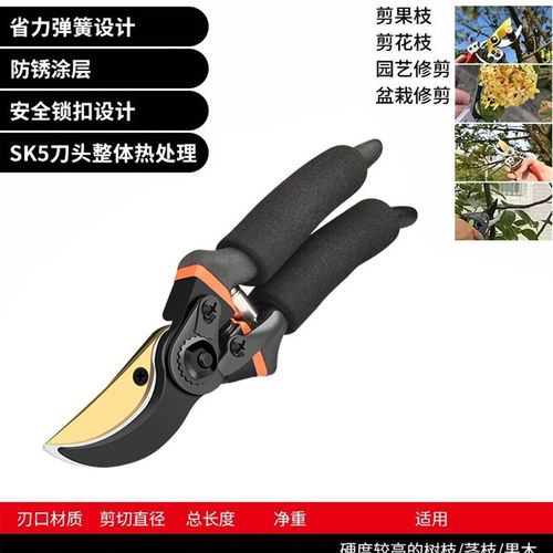 剪刀园艺剪枝修枝剪粗枝剪园林花剪果G树修剪树枝专用省力剪切工