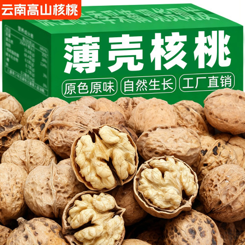 2026纸皮核桃新货云南特产