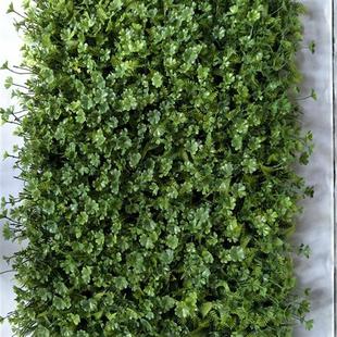 仿真绿植墙植物墙配材门头装 修尤加利 饰塑料米兰草影视墙背景装