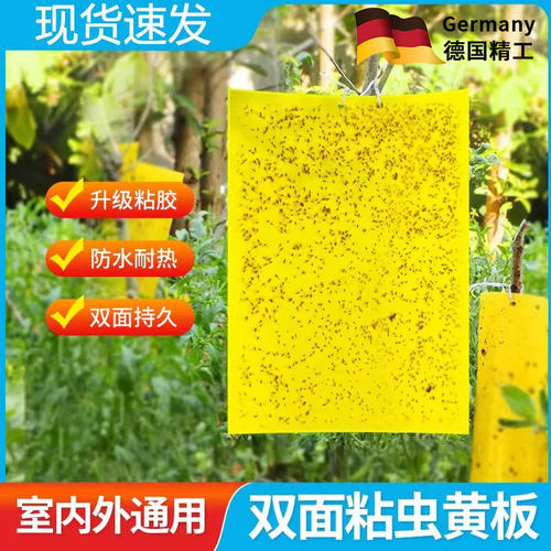 【德国品质】黄蓟马纸双面粘虫板