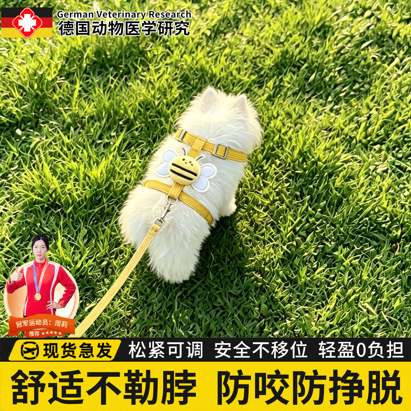 【博美犬牵引绳】防挣脱不勒脖图片