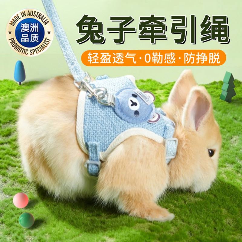 【澳洲进口】防咬背心式兔牵引绳图片