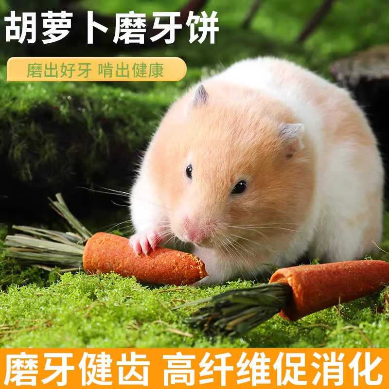 仓鼠磨牙棒胡萝卜兔子零食豚鼠龙猫荷兰猪金丝熊专用磨牙神器用A
