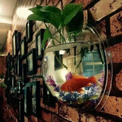 家饰品水瓶价格 家饰品水瓶图片 星期三 家饰品水瓶价格 家饰品水瓶图片 星期三