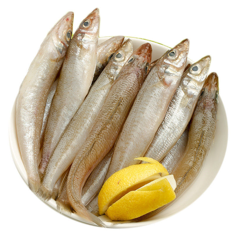 新鲜海捕沙丁鱼沙占沙钻鱼深海鱼鲜活冷冻海鲜水产船冻鲜美鱼类