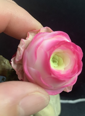 Cc原创迷你树脂黏土仿真多肉玫瑰植物小老桩水晶虾饺汽车摆件生日