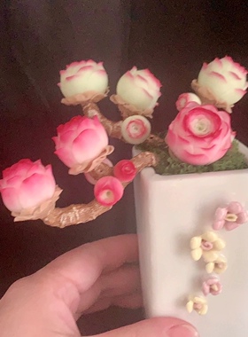 Cc原创迷你树脂黏土仿真多肉玫瑰植物小老桩水晶虾饺汽车摆件生日