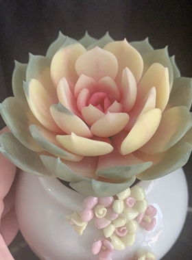 Cc手作原创树脂黏土仿真多肉植物永生不凋仙气精美红心莲摆件生日