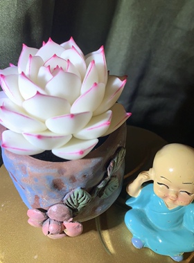 Cc原创树脂黏土仿真多肉永生仙气边线女王白麦秆盆栽办公室桌面摆