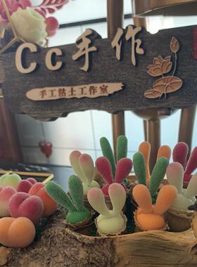 Cc手作树脂黏土仿真多肉植物毛汉尼小兔子碧光环桌面装饰生日礼物