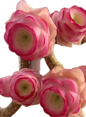 Cc原创迷你树脂黏土仿真多肉玫瑰植物小老桩水晶虾饺汽车摆件生日