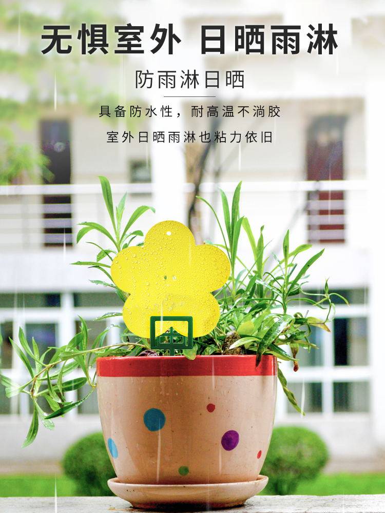 粘虫板黄板包邮双面诱虫板捕捉虫板贴纸塑料灭小飞虫粉虱蓟马蚜虫