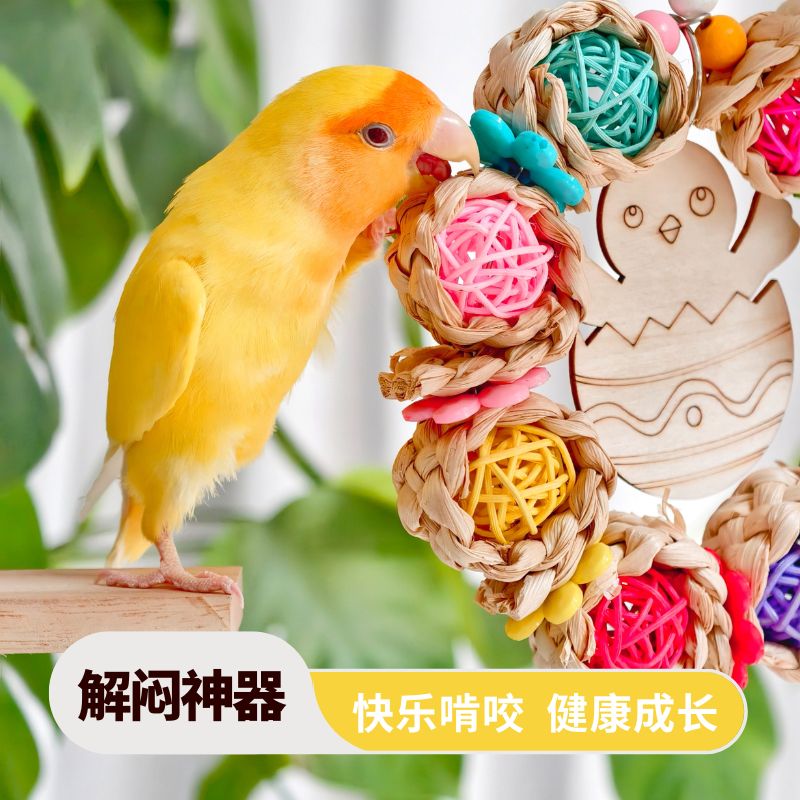 鹦鹉专用蛋仔花环攀爬啃咬玩具解闷自嗨天然牡丹玄凤虎皮玩具大全