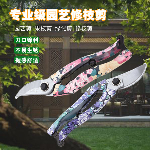 的花园园林月季绣球园艺修剪