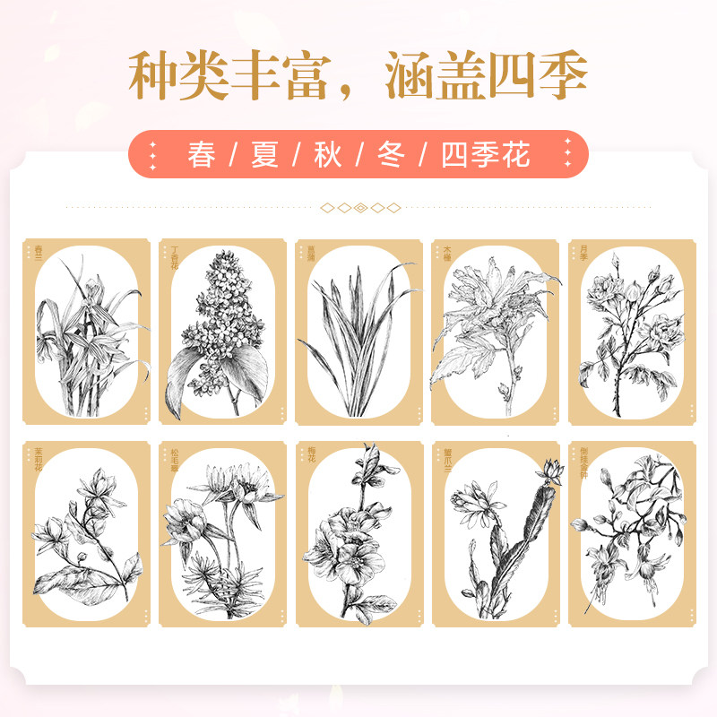 花语线描集 黑白插画手绘线稿素材350例