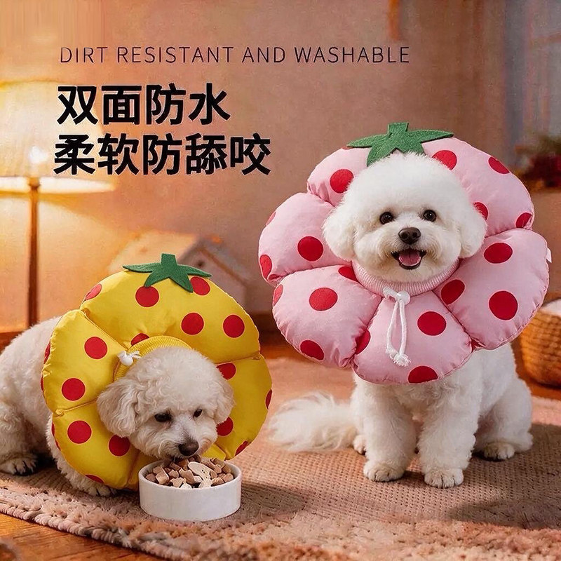 伊丽莎白圈猫咪绝育软头套幼猫防舔防咬防水项圈宠物狗脖圈猫围脖