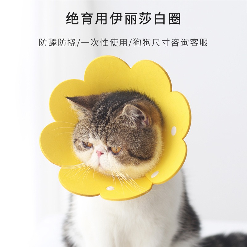 MUJU无印日本太阳花伊丽莎白圈加厚海绵头套猫咪脖圈防舔耻辱圈.