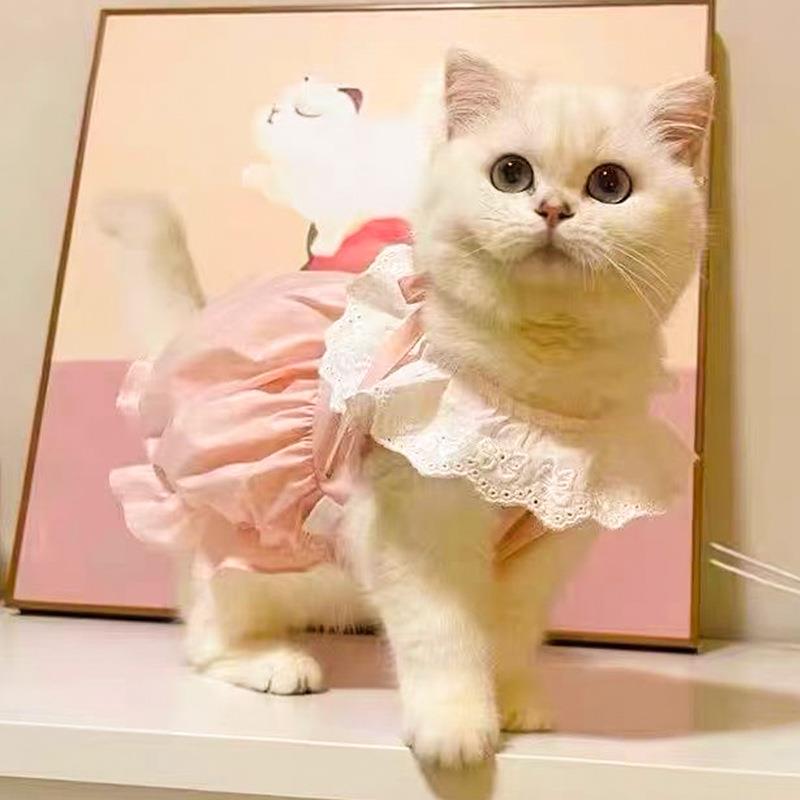 宠物猫咪夏天衣服可爱ins公主风裙子夏季薄款防掉毛幼猫狗连衣裙