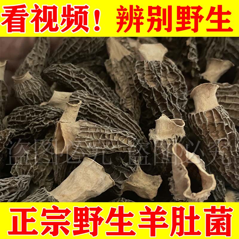 纯野生羊肚菌干货500g云南无硫牛肚菌特级精选新鲜羊肚菌菇煲汤