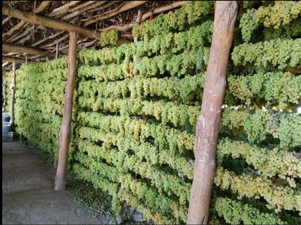 新疆葡萄干无籽免洗干净无沙食品加工专用葡萄干散装整箱20斤包邮