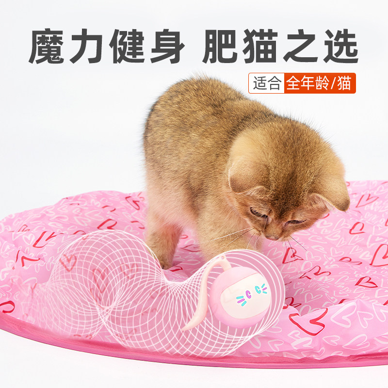 FOFOS两只福狸 猫玩具电动自动寻路智能逗猫健身运动宠物玩具魔球