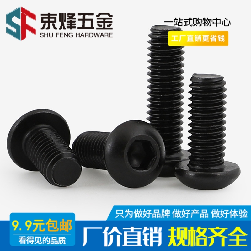 黑色螺丝钉316不锈钢内六角