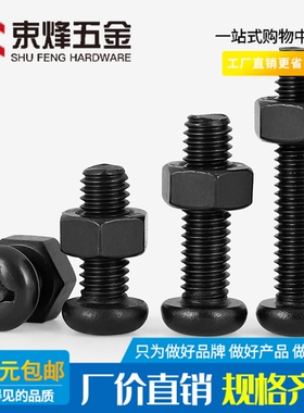 M2.5M3M4M5M6M8 黑色304不锈钢圆头十字螺丝螺母PM盘头机螺钉螺栓