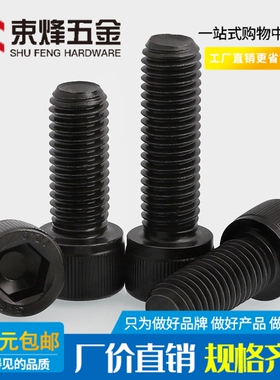 M2M3M4M5M6M8M10 12.9级内六角螺丝钉高强度内6角螺栓*4/8/10/16