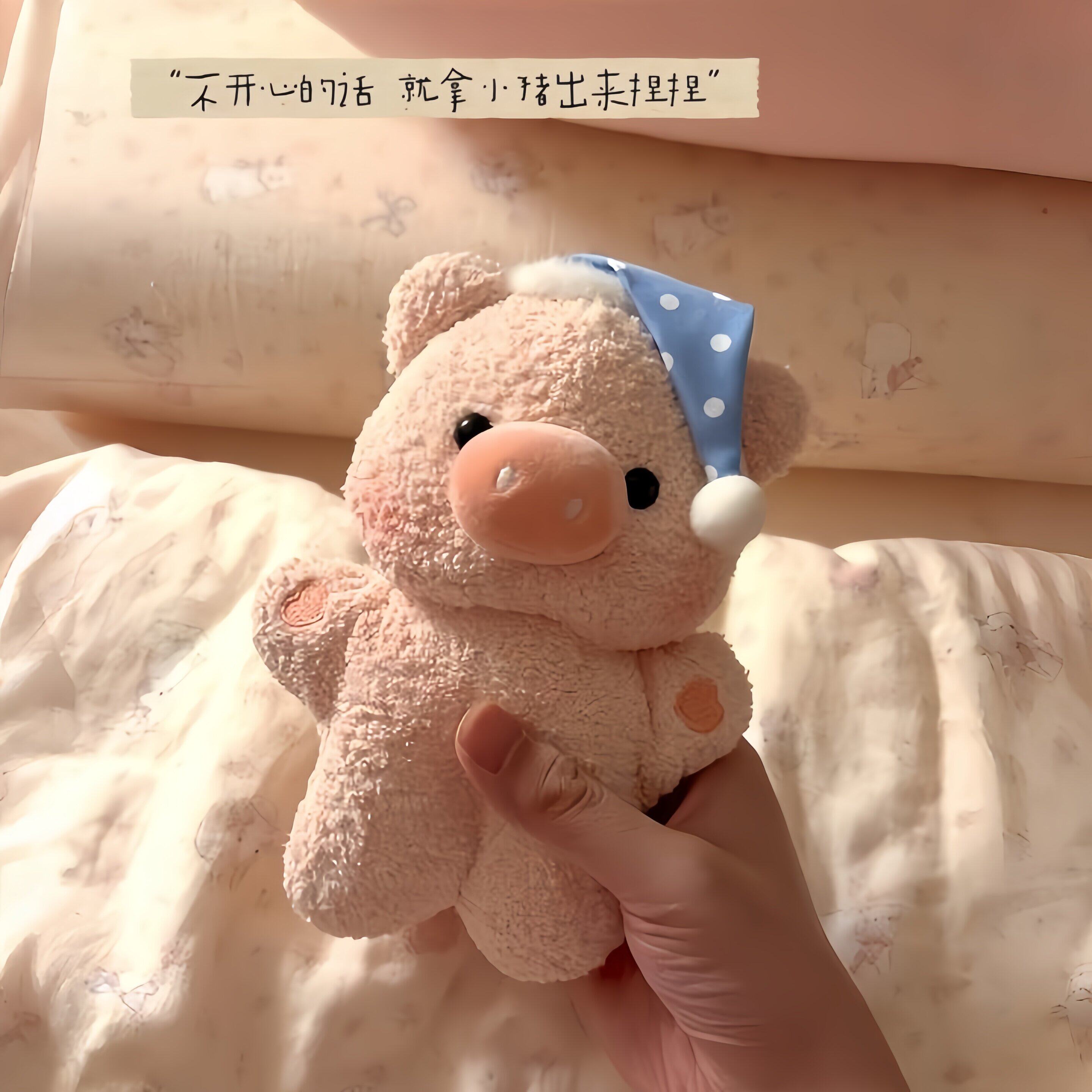 豆袋小猪玩偶系睡觉抱安抚陪伴公仔娃娃可爱卡通礼物送好朋友