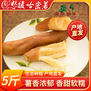 康平憨馥地瓜【哈密薯】5斤自种黑油纯山地新鲜当季天然软糯