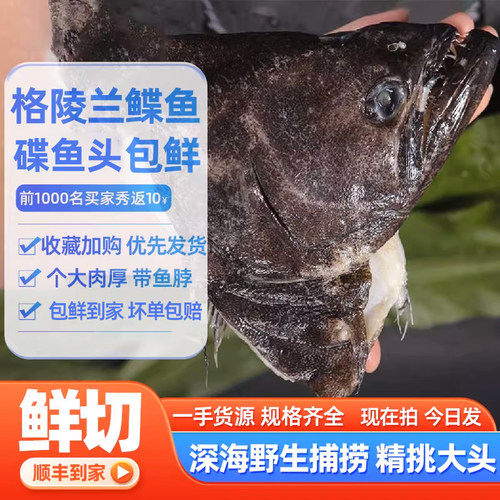 【上海24小时发货】格陵兰鲽鱼头新鲜鱼头雅片鱼头深海特大碟鱼头