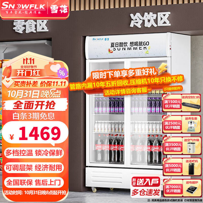 雪花【现货送货入户】雪花（SNOWFLK）商用展示柜冰柜冰箱保鲜柜属于什么档次？